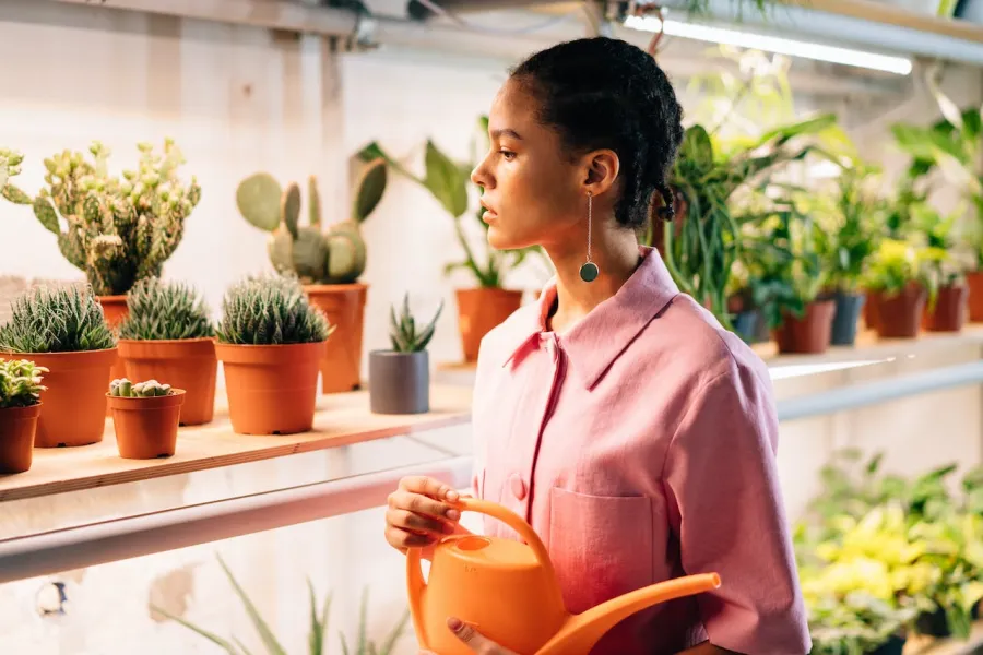 امرأة تهتم بالنباتات- المصدر: pexels-cottonbro-studio 