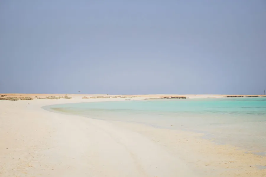 دراسة 