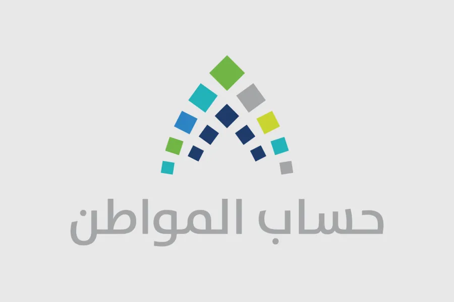 دعم حكومي