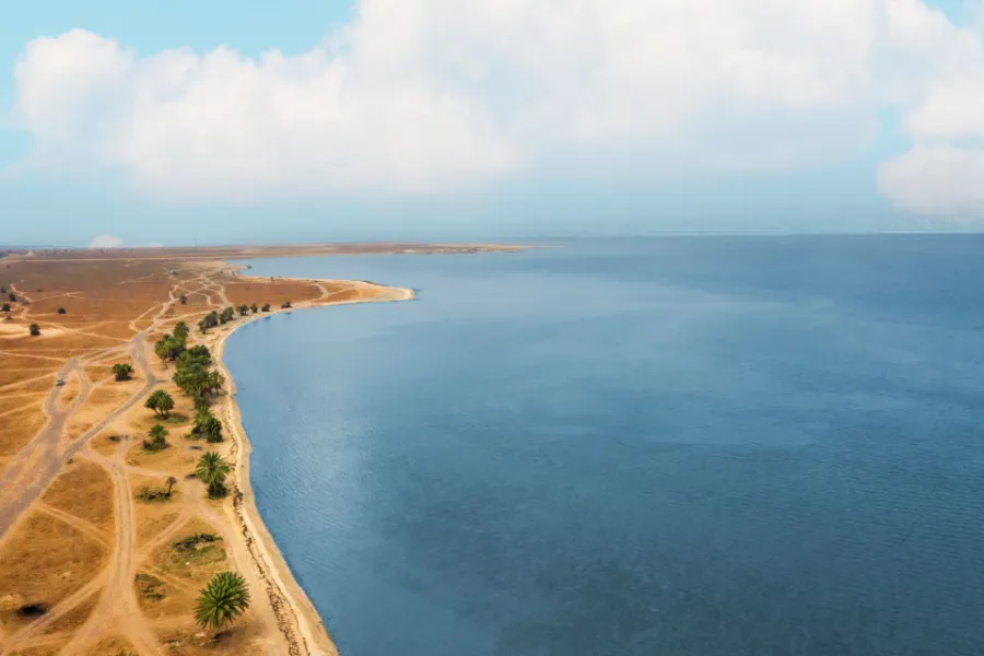 انطلاق مهرجان "رملية" بالسعودية