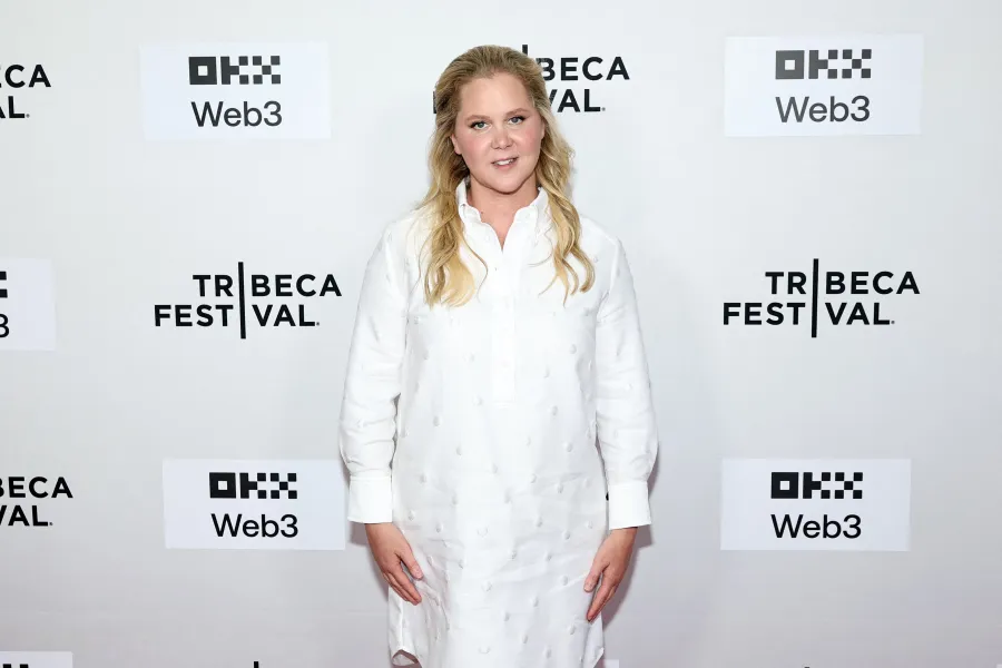 إيمي شومر في نيويورك ( Amy Schumer in newyork ).مصدر الصورة: Jamie McCarthy / GETTY IMAGES NORTH AMERICA / Getty Images via AFP