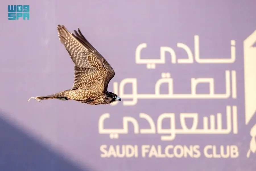 المنطقة الشرقية تستضيف كأس نادي الصقور السعودي 2025