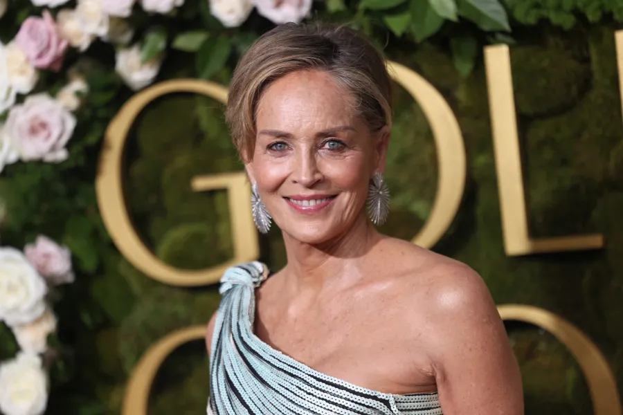 شارون ستون في كاليفورنيا ( Sharon Stone in California ). مصدر الصورة: Etienne Laurent / AFP
