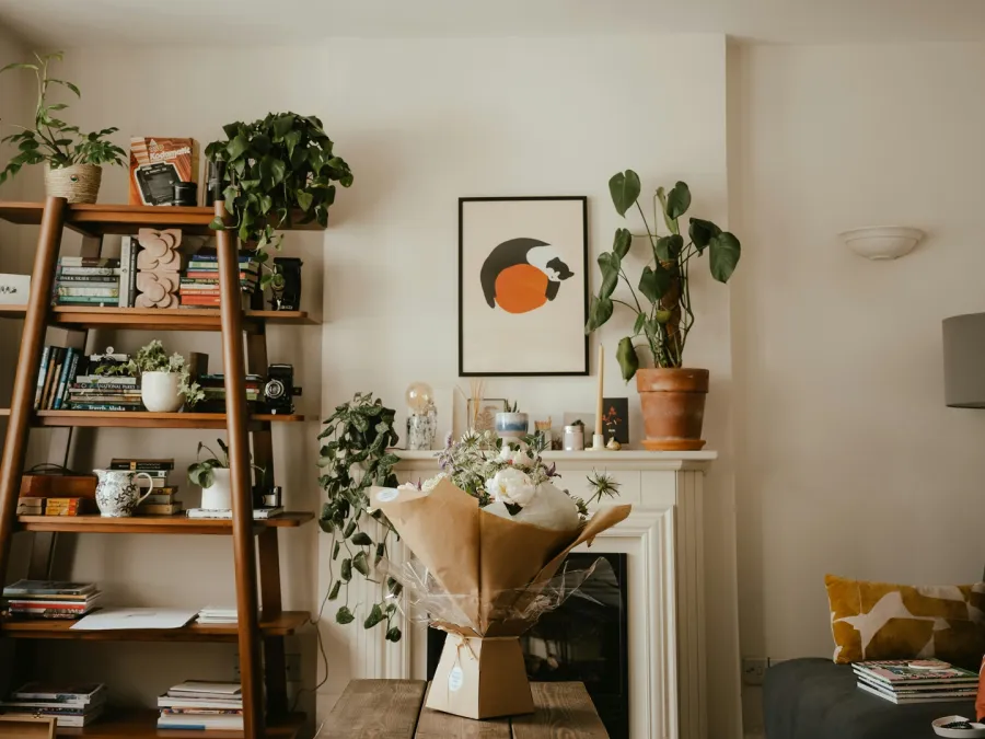 تزيين المنزل بالنباتات