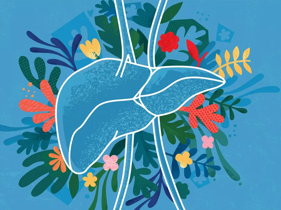 الحفاظ على صحة الكبد تبدأ بالعادات الجيدة