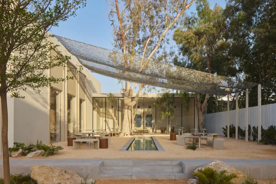 ذا ميلد كونسبت جوهرة ثقافية حديثة