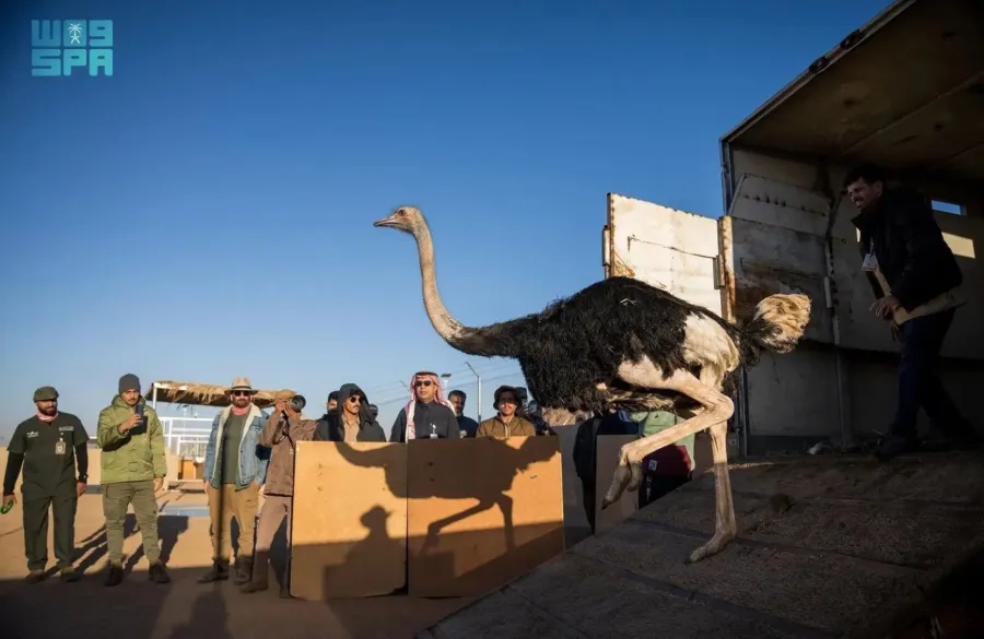 كائنات فطرية