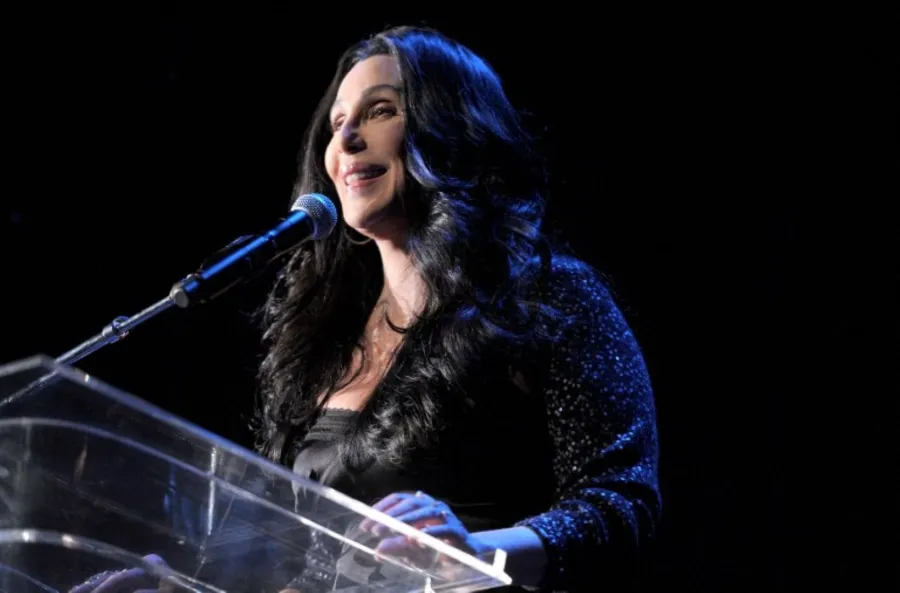 شير Cher في حفل ما قبل توزيع جوائز غرامي 2011. مصدر الصورة: Larry Busacca / GETTY IMAGES NORTH AMERICA / Getty Images via AFP