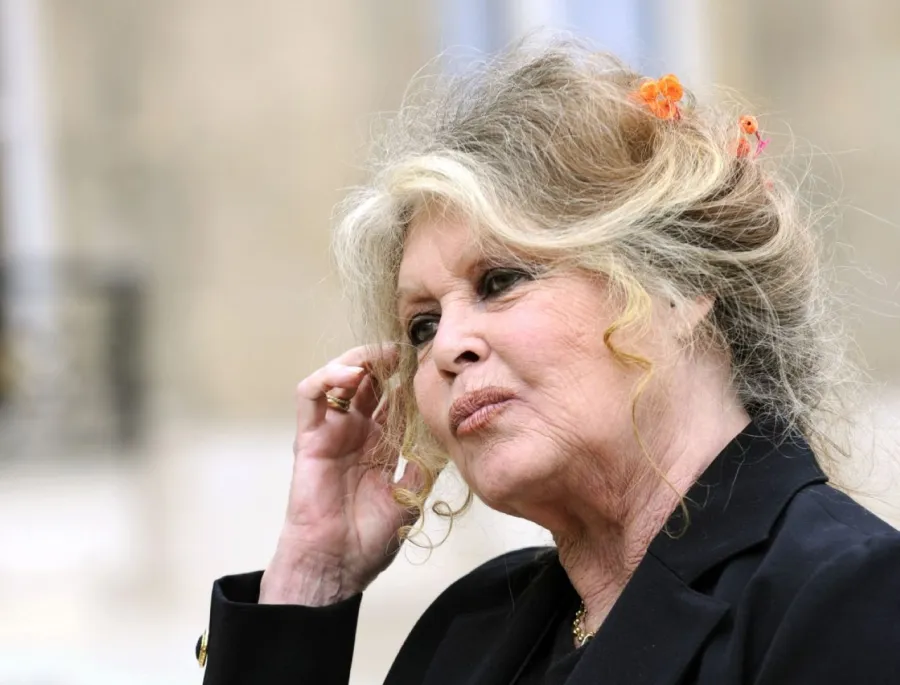 بريجيت باردو في باريس (Brigitte Bardot in Paris). مصدر الصورة: ERIC FEFERBERG / AFP
