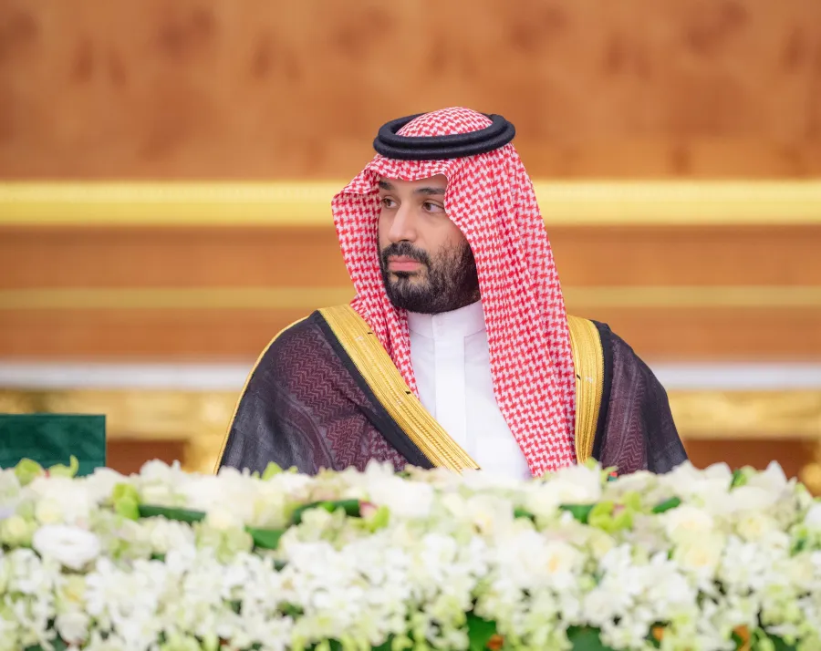 الأمير محمد بن سلمان بن عبدالعزيز آل سعود ولي العهد ورئيس مجلس الوزراء- الصورة من منصة الصور السعودية
