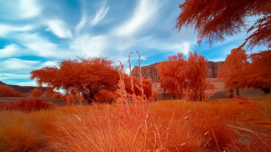 انطلاق معرض أرضُنا فبراير المقبل - الصورة من الموقع الرسمي لاستكشف العلا
