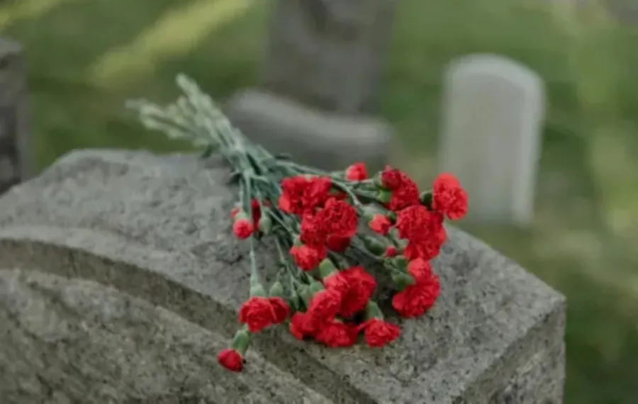 وفاة جاين تركا. صورة تعبيرية