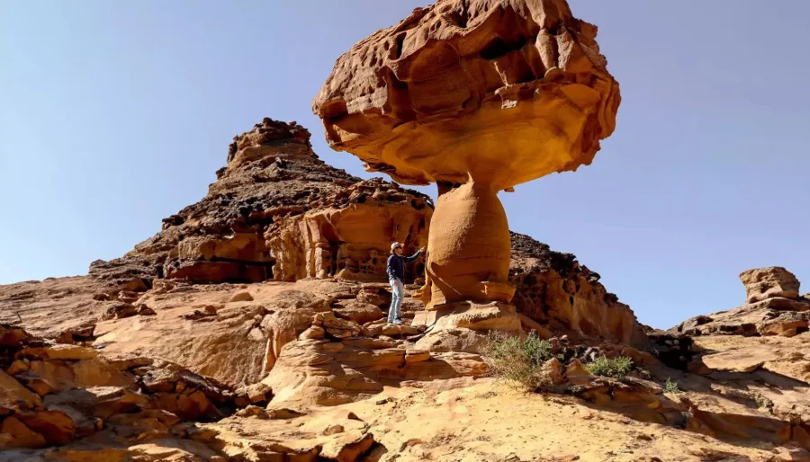وادي الفن إبداعات فنية تتربّع في قلب العُلا. الصورة من الموقع الرسمي لاستكشف العلا