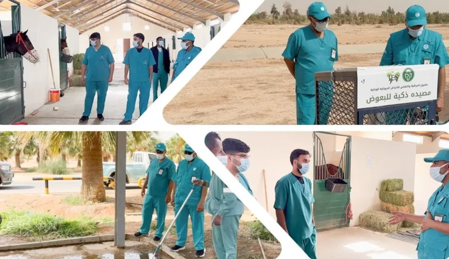 كأس السعودية