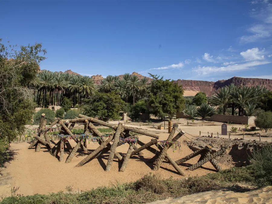 تركيب فني بعنوان "النخيل في عناق أبدي في العُلا"