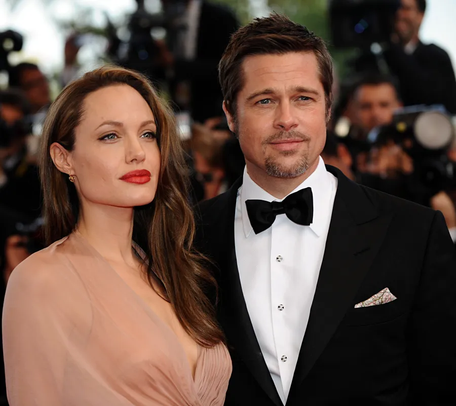 أنجلينا جولي Angelina Jolie وبراد بيت Brad Pitt من مهرجان كان السينمائي 2009 - مصدر الصورة: Mustafa Yalcin/Anadolu via Getty Images