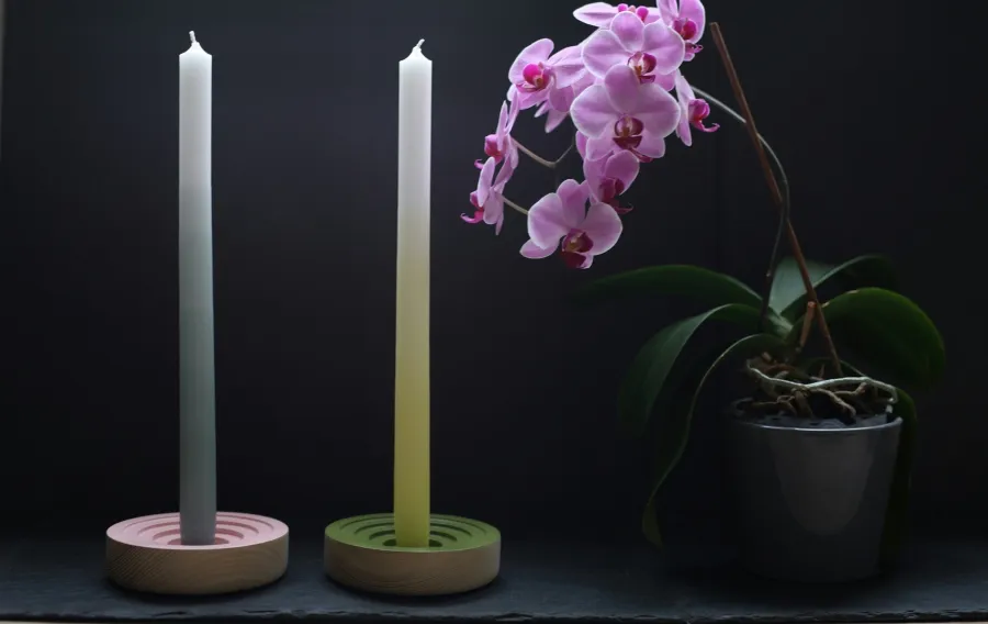 نبات الأوركيد مع زوجين من حوامل الشموع
