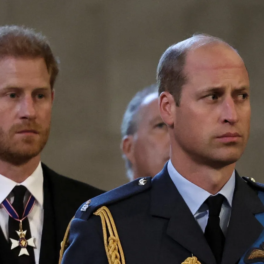 الأمير هاري والأمير ويليام لحظة وصول نعش الملكة إليزابيث الثانية إلى قصر وستمنستر ( Prince Harry and Prince William as Queen Elizabeth II's coffin arrives at Westminster Palace ). مصدر الصورة: ALKIS KONSTANTINIDIS / POOL / AFP