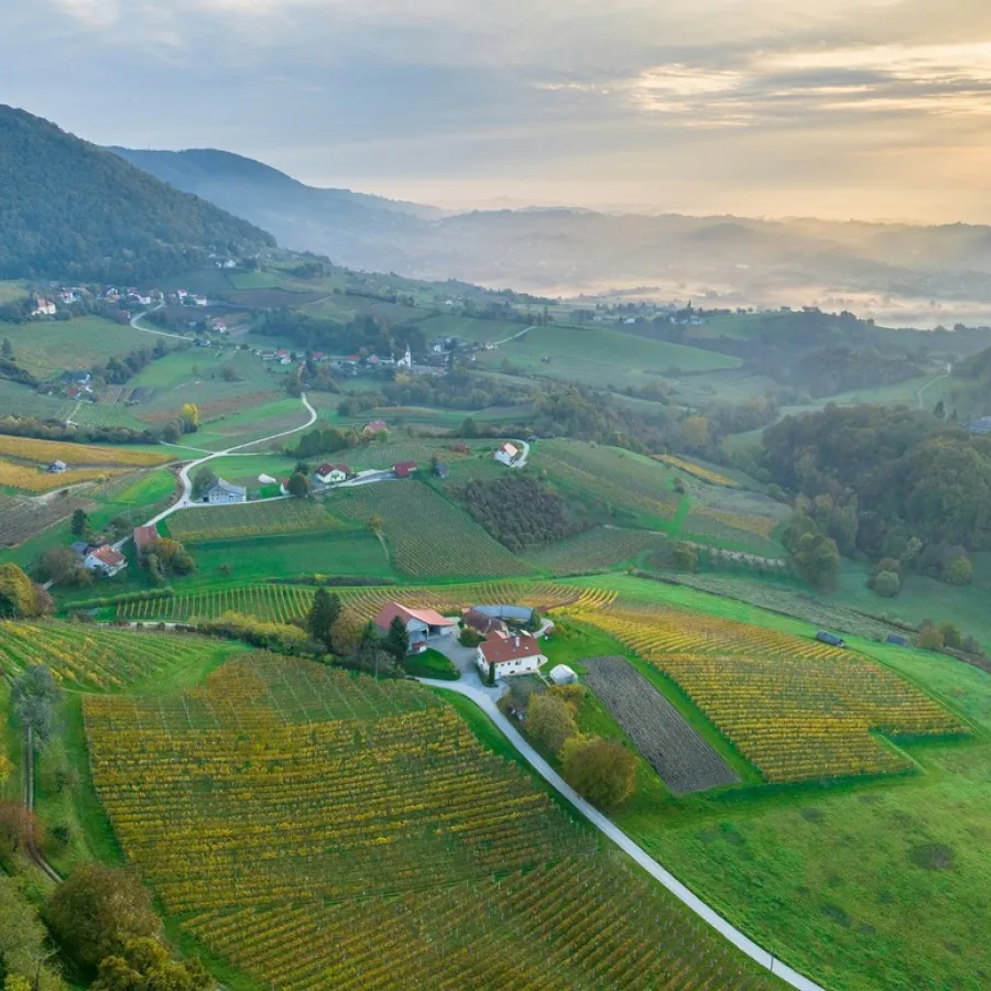 رحلة سياحية إلى الريف