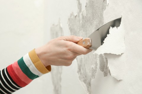 7 علامات خفية قبل ظهور العفن بمنزلكِ.. لا تتجاهليها!