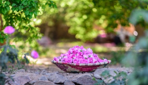 بمناسبة يوم التأسيس: لمسات جمالية استوحيها من التراث السعودي